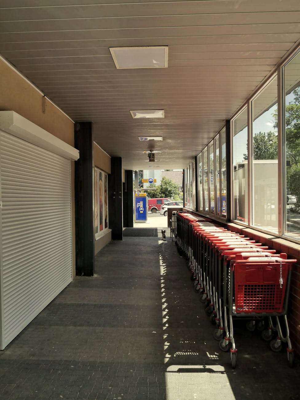 shopping carts standing in a row